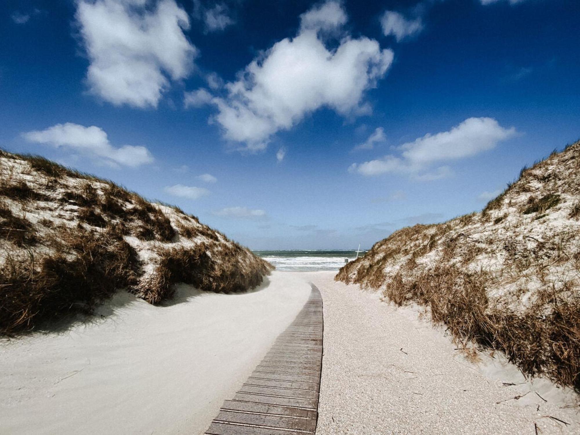Sonnengelb Norderney